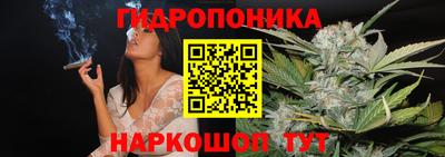 мдпв Пенза