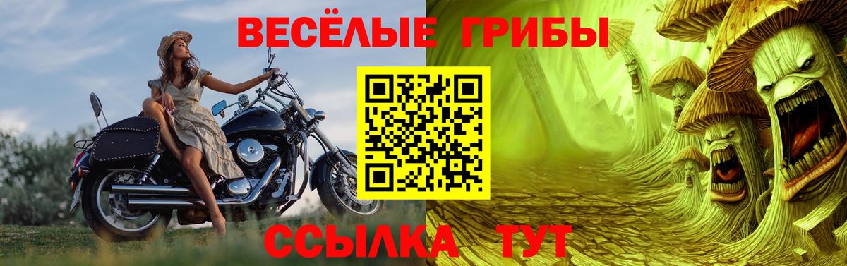 Псилоцибиновые грибы ЛСД Тайшет